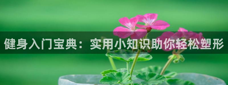 qy球友会体育(中国)官方网站